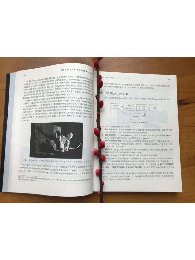 Book-Winshare Fourteen Lecture - Industrial Visual recensione e prezzo